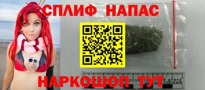 дмт Будённовск