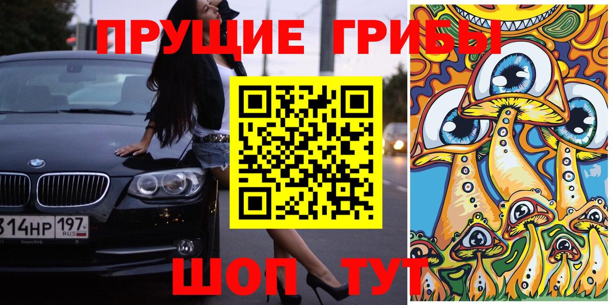 Псилоцибиновые грибы мицелий Благовещенск